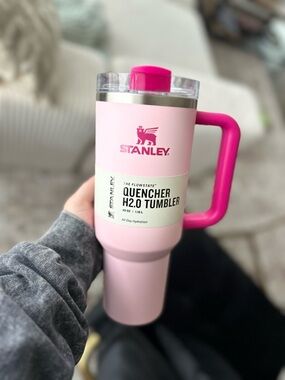 Stanley Pink Tumbler with Hot Pink Handle